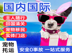 中卫沙坡头机场物流国际宠物托运 【国